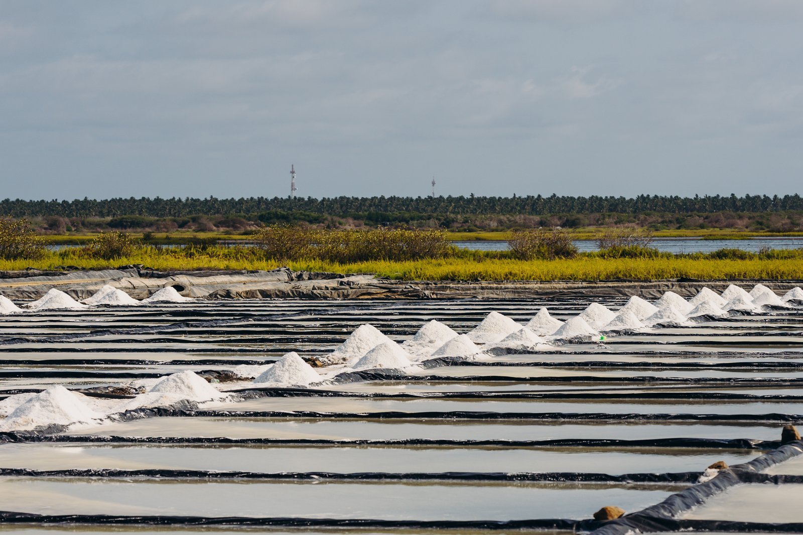 Salinas de Colima al Atardecer